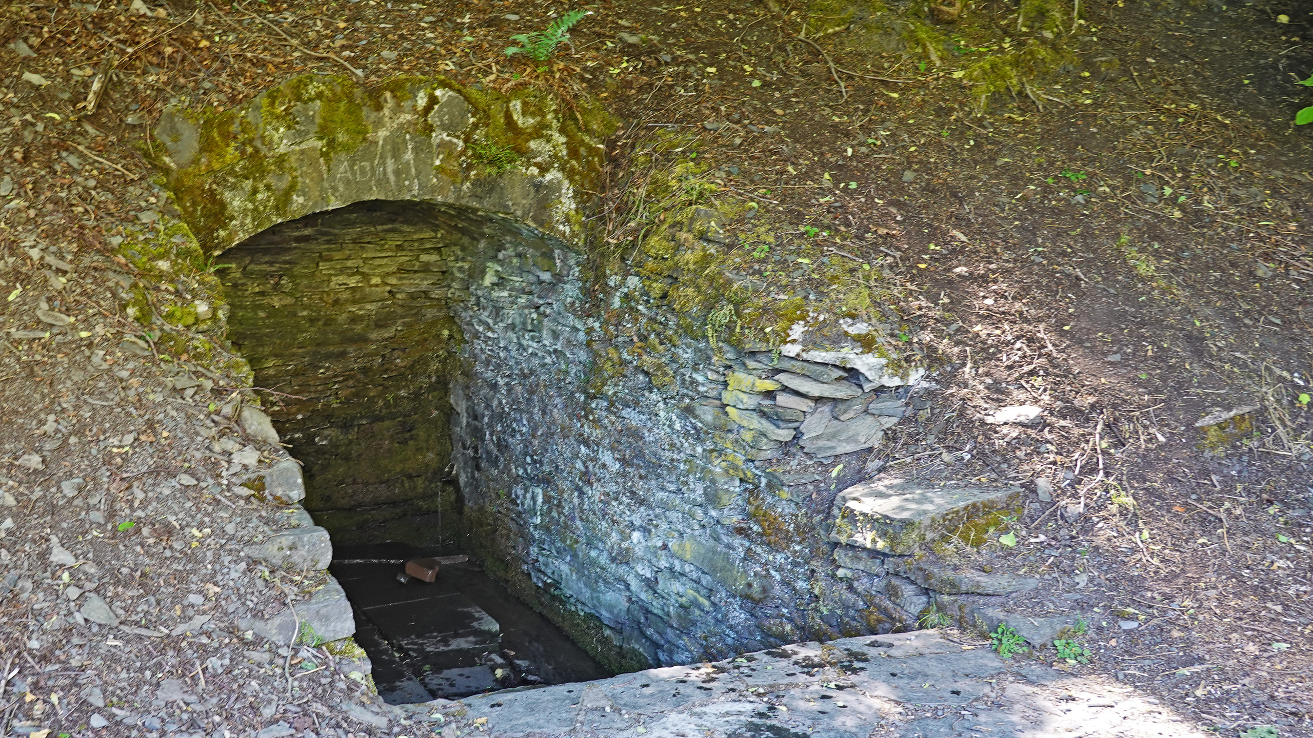 Heckenbach-Brünnchen